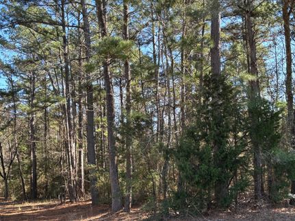 Undeveloped Land in Anderson County, Texas