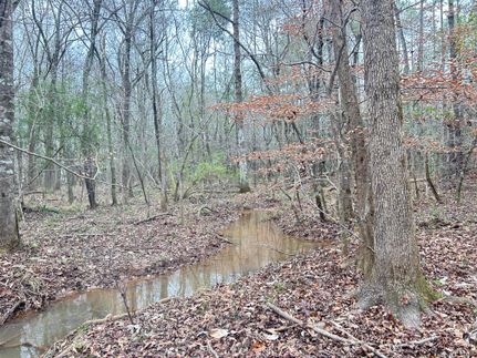 Land for sale in Randolph County, Georgia