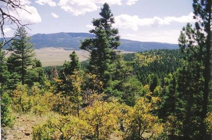 Undeveloped Land for sale in Colfax County, New Mexico