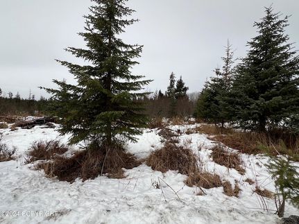 Land in Kenai Peninsula Borough, Alaska