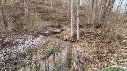 Undeveloped Land in Meigs County, Ohio