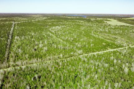 Recreational Property for sale in Pamlico County, North Carolina