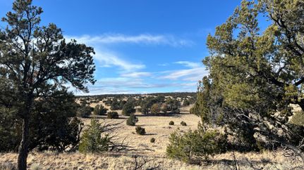 Farm and Ranch for sale in Catron County, New Mexico