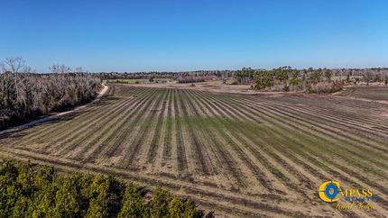 Undeveloped Land for sale in Florence County, South Carolina