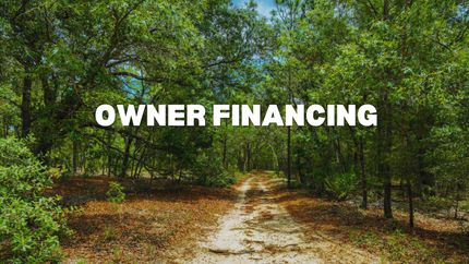 Undeveloped Land in Putnam County, Florida