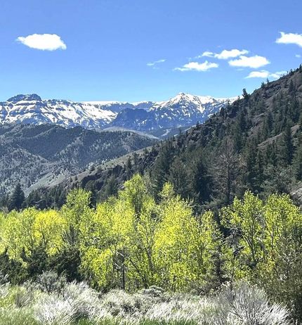 Farm and Ranch in Park County, Wyoming