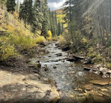 Riverfront Property in Park County, Colorado