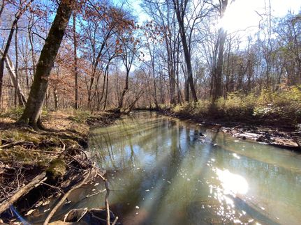 Hunting Property for sale in Lee County, Alabama