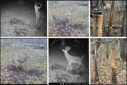 Recreational Property in Vernon County, Wisconsin