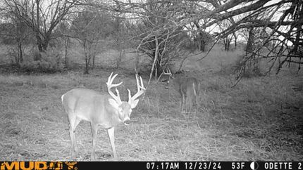 Hunting Property in Wilson County, Kansas