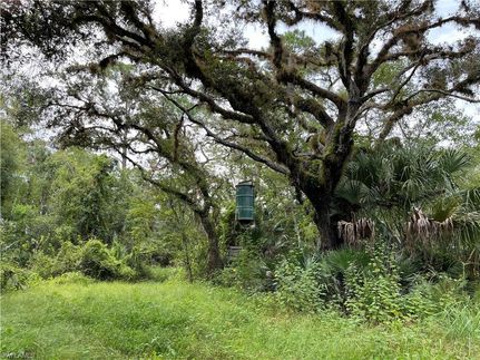 Timberland Property for sale in Glades County, Florida