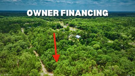 Undeveloped Land in Putnam County, Florida