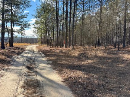 Timberland Property in Chesterfield County, South Carolina