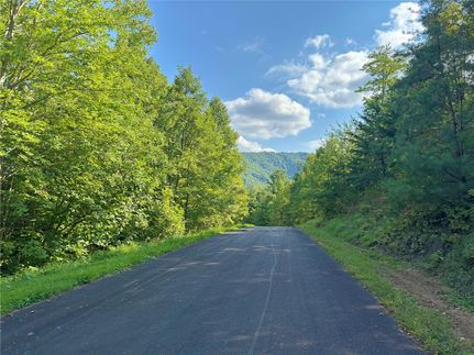 Farm and Ranch for sale in Madison County, North Carolina