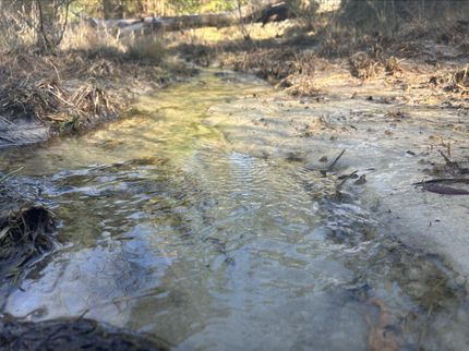 Farm and Ranch in Houston County, Texas