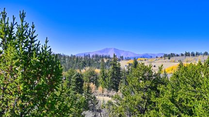Undeveloped Land in Park County, Colorado
