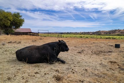 Farm and Ranch for sale in San Luis Obispo County, California
