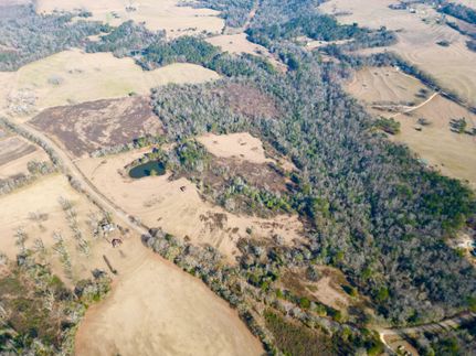Recreational Property in Pike County, Alabama