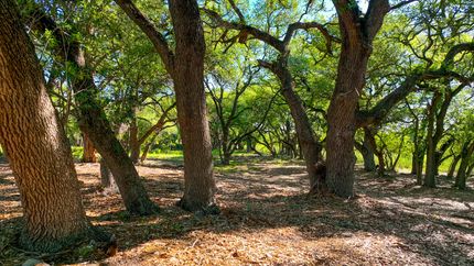 Undeveloped Land in Burnet County, Texas