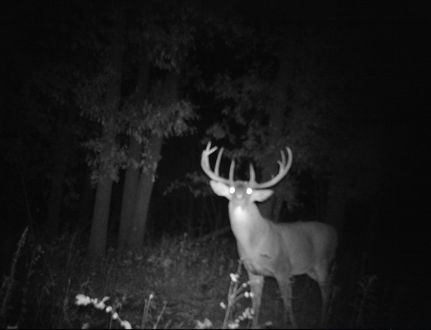 Recreational Property in Lewis County, Missouri