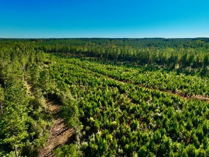 Recreational Property for sale in Marion County, Mississippi