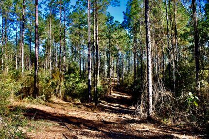 Farm and Ranch for sale in Marion County, Mississippi