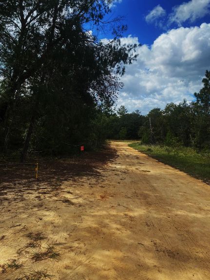 Timberland Property in Putnam County, Florida
