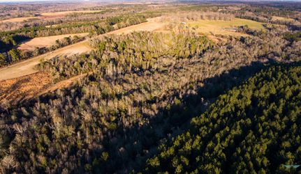 Farm and Ranch in Pike County, Alabama