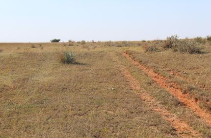Farm and Ranch in Woodward County, Oklahoma