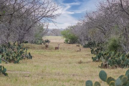 Farm and Ranch in Goliad County, Texas