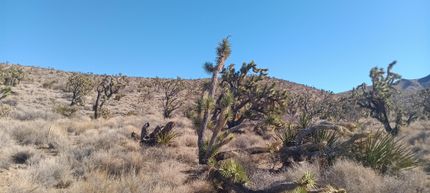 Farm and Ranch in Mohave County, Arizona