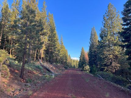 Timberland Property in Modoc County, California