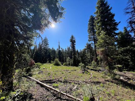 Timberland Property in Modoc County, California