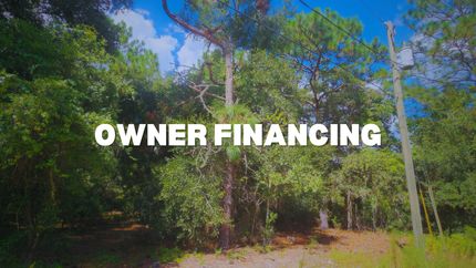 Undeveloped Land in Citrus County, Florida