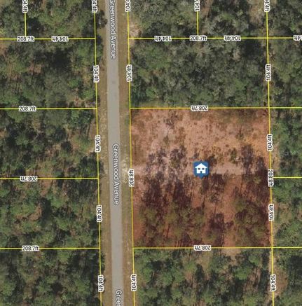 Undeveloped Land in Lee County, Florida