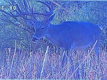 Land in Val Verde County, Texas