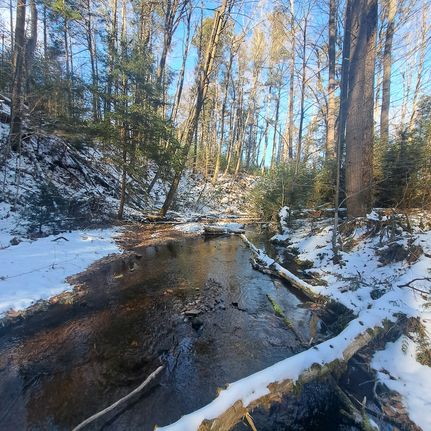 Undeveloped Land in Centre County, Pennsylvania