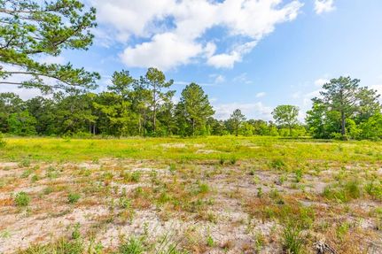 Undeveloped Land in Jefferson County, Texas