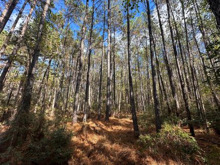 Land in Georgetown County, South Carolina