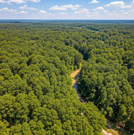 Undeveloped Land in Lawrence County, Arkansas