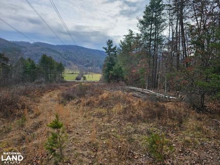 Undeveloped Land in Highland County, Virginia