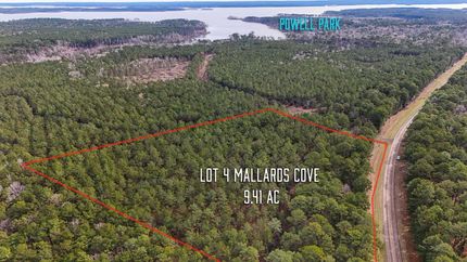 Undeveloped Land in San Augustine County, Texas