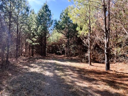 Recreational Property for sale in Marengo County, Alabama