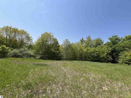 Timberland Property for sale in Grand Traverse County, Michigan