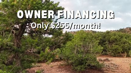 Undeveloped Land in Costilla County, Colorado