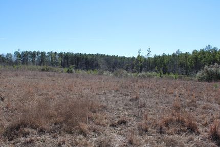 Farm and Ranch for sale in Lawrence County, Mississippi