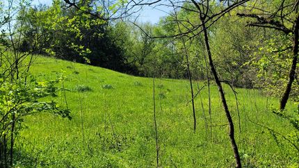 Lakefront Property in Jefferson County, Tennessee
