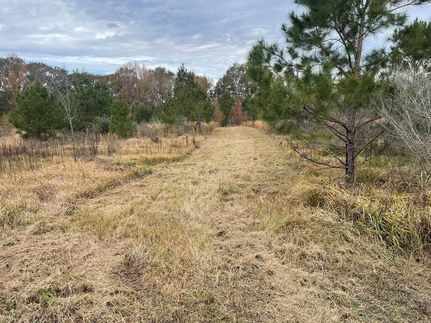 Land in Forrest County, Mississippi