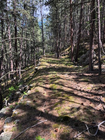 Timberland Property in Weston County, Wyoming