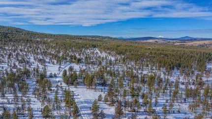 Undeveloped Land in Crook County, Oregon